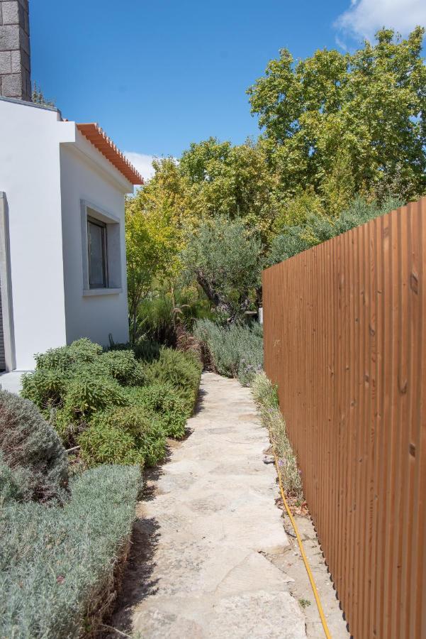 Lejlighed Santa Joana With Garden And Heated Pool Lisboa